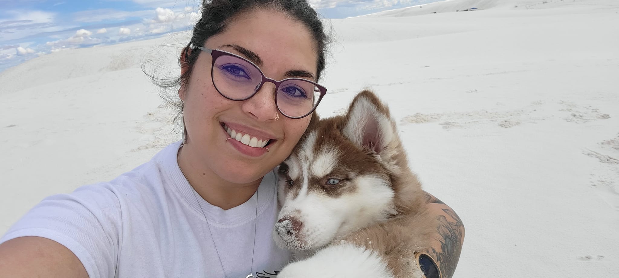 Loki the Husky